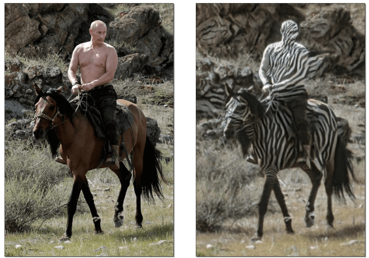Striped Putin astride a zebra, created by Jun- Yan Zhu using a CycleGAN, 2017. 