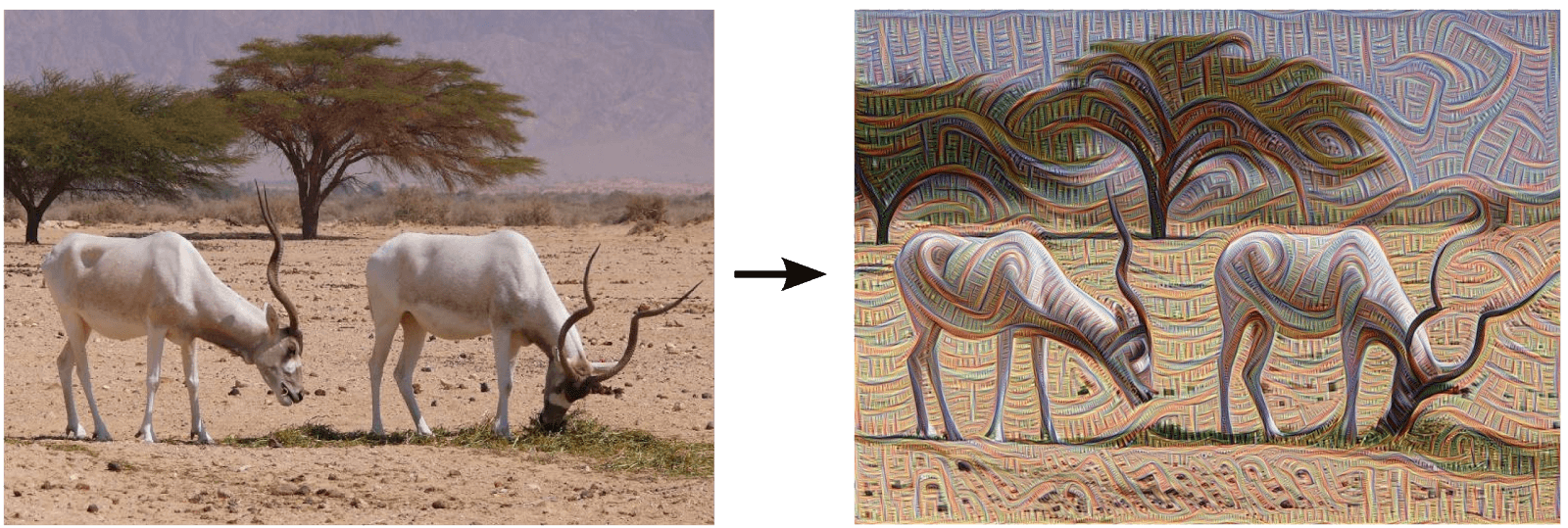 Figure 7.4   Two ibises— the original photograph (left) and as “seen” by a machine, 2015 (right).   